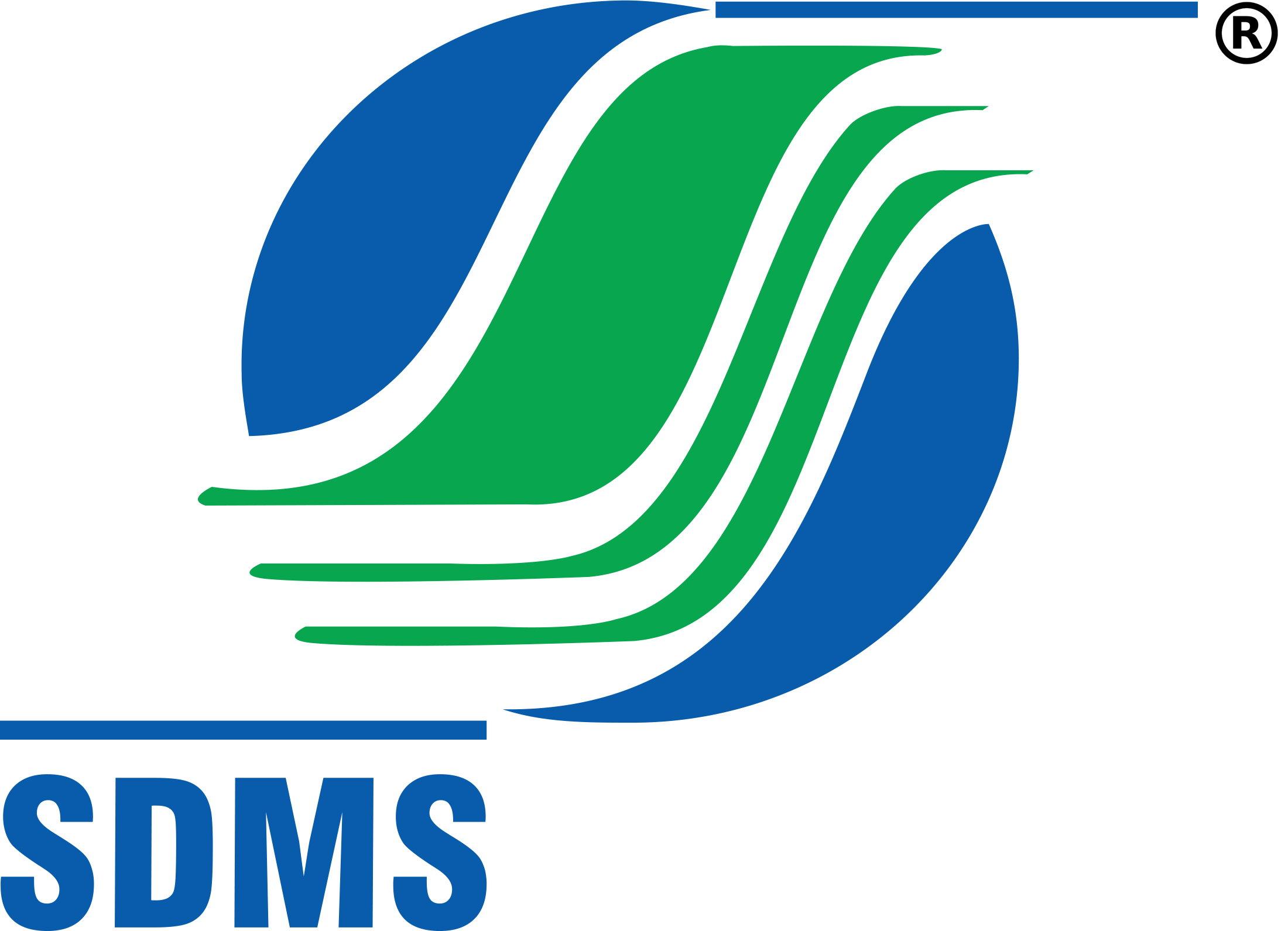 stockholding dms Logo